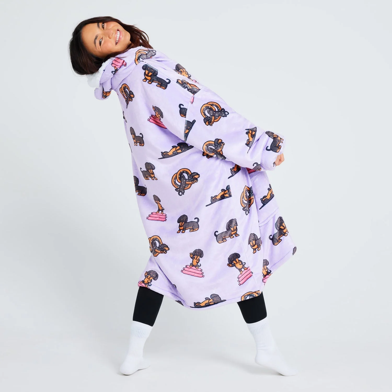 Dachshund - Image 9