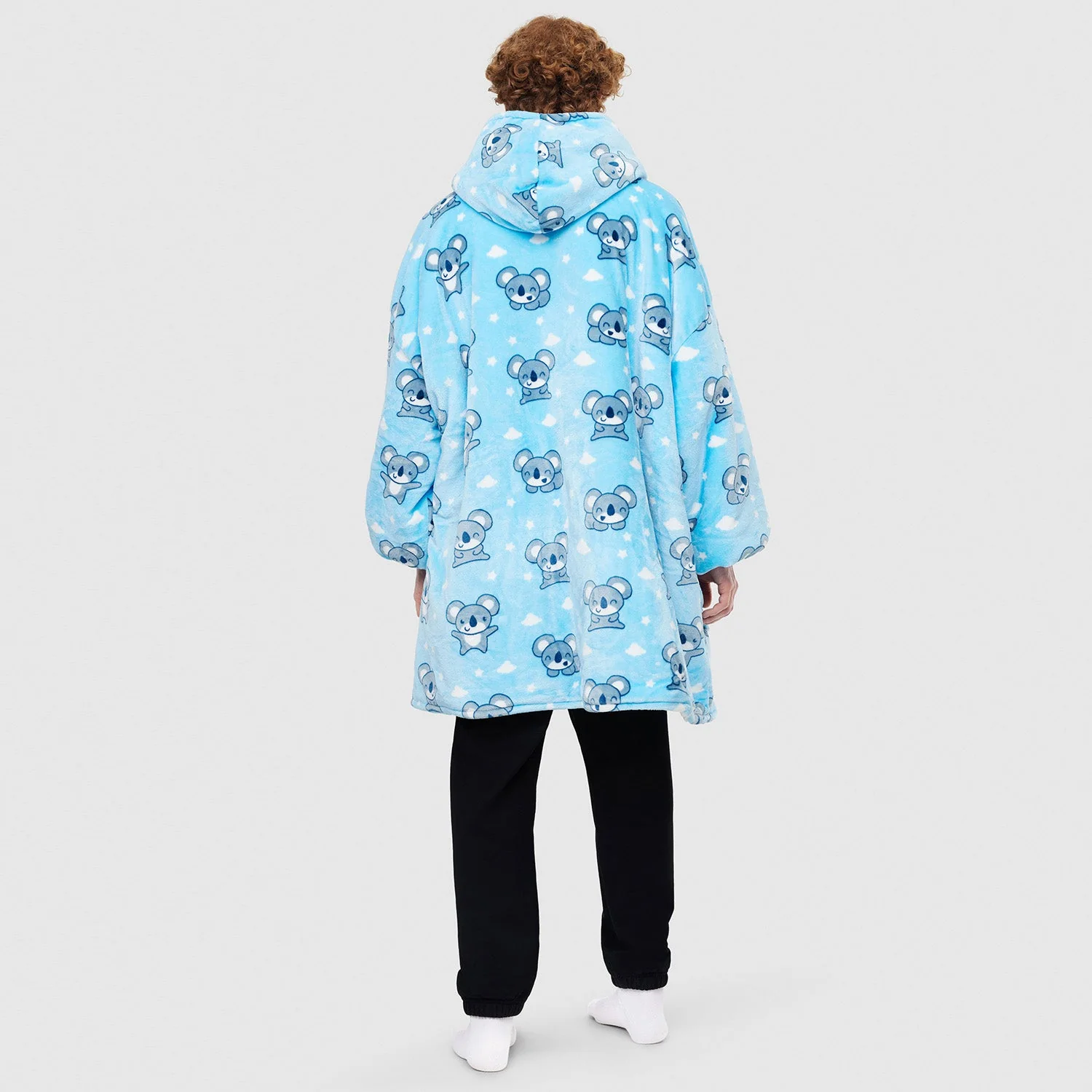 Koala - Image 8