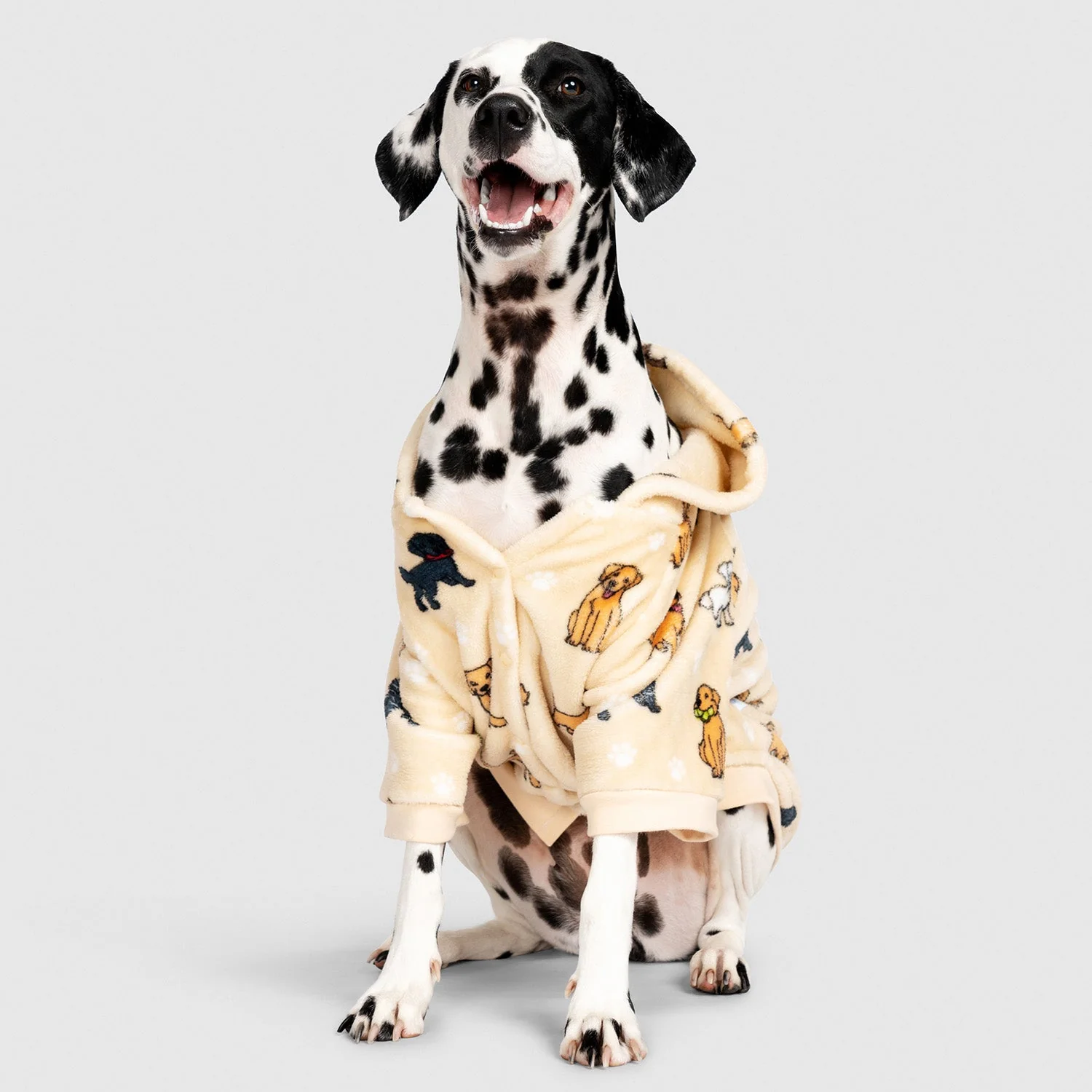 Retriever - Image 3