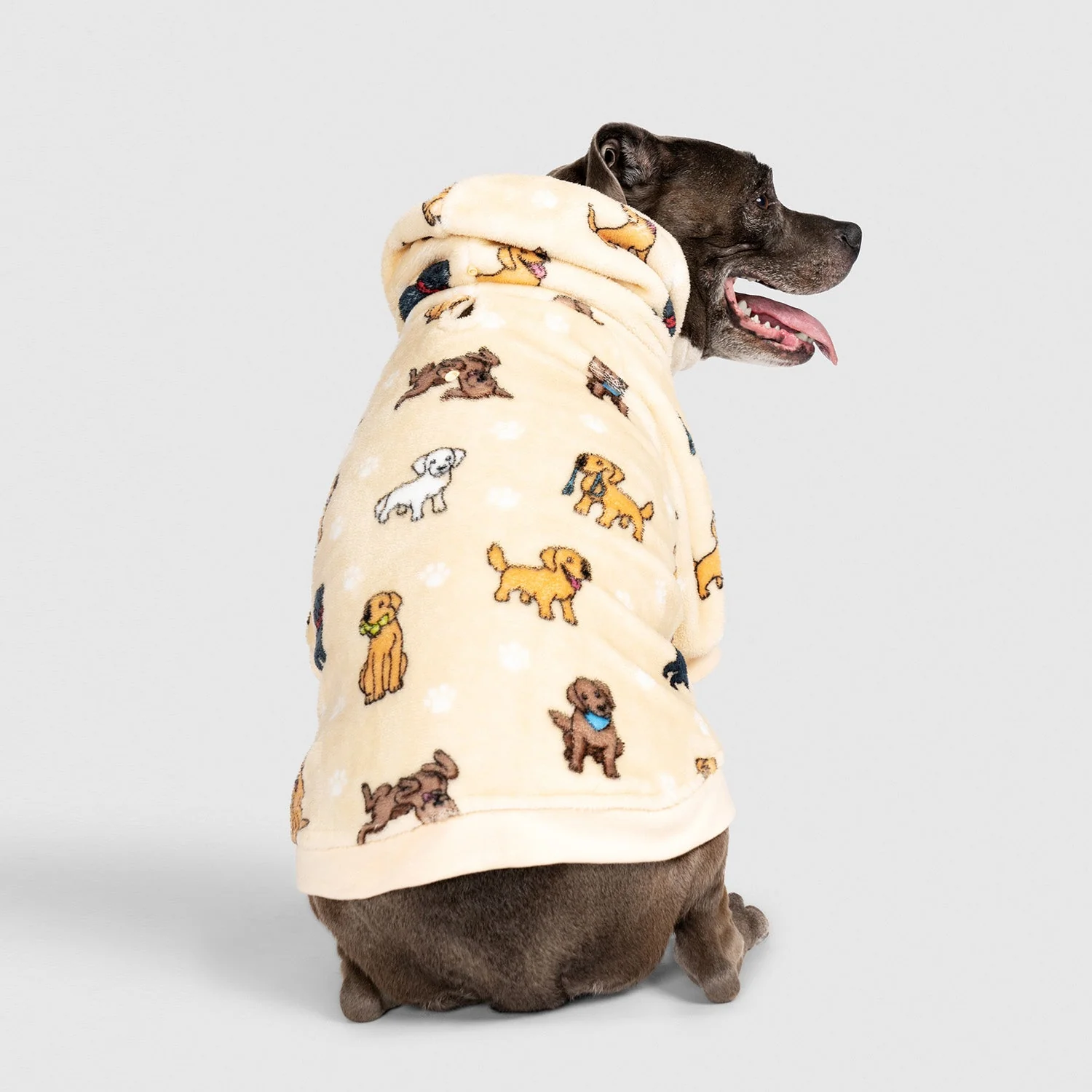 Retriever - Image 4